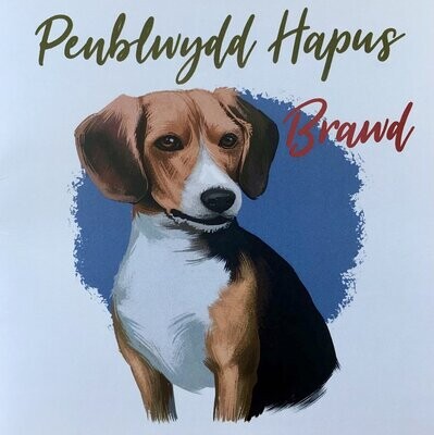 Cerdyn - Penblwydd Hapus Brawd