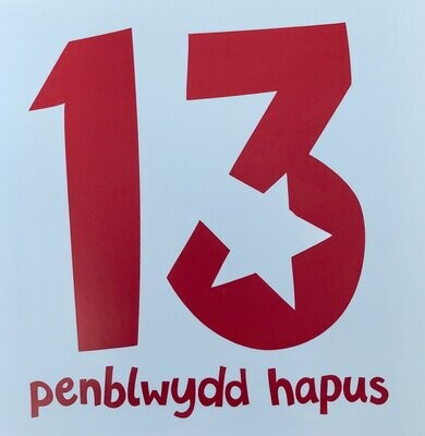 Cerdyn - Penblwydd Hapus 13