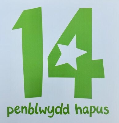 Cerdyn - Penblwydd Hapus 14