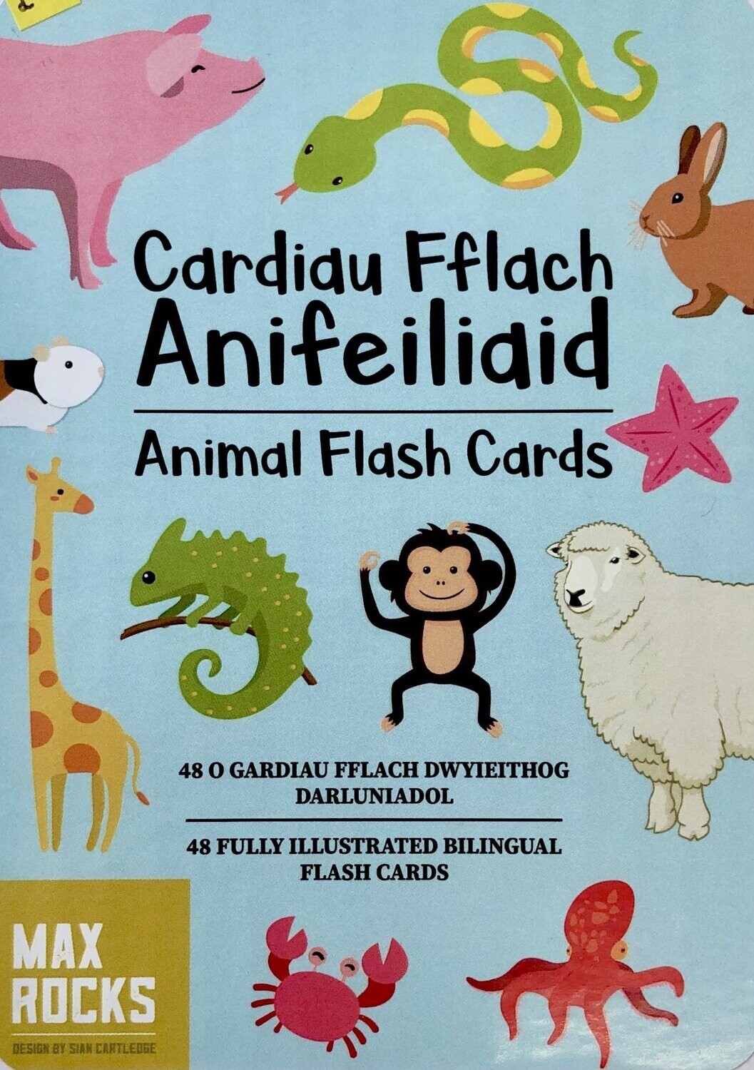 Cardiau Fflach - Anifeiliaid