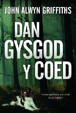 Dan Gysgod y Coed - John Alwyn Griffiths