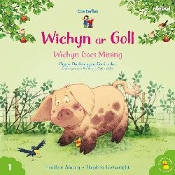Cyfres Cae Berllan: Wichyn ar Goll