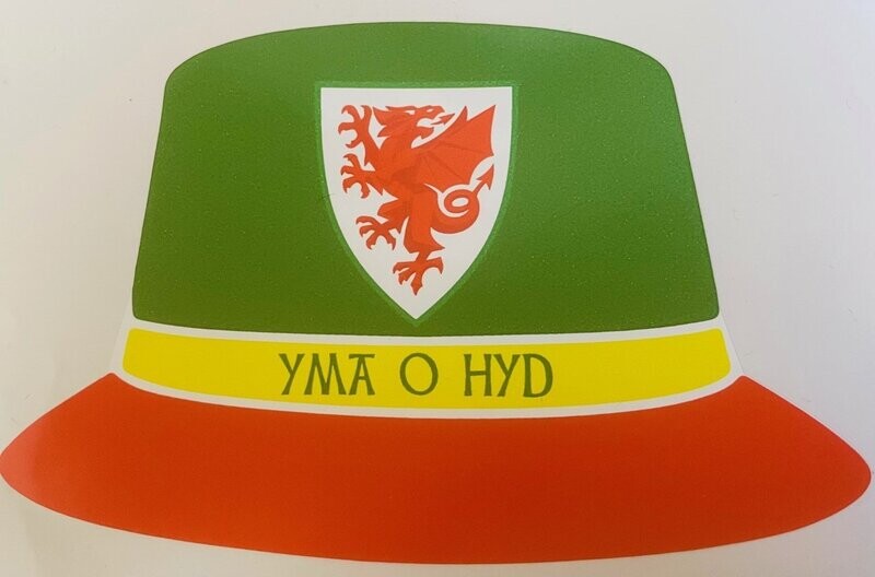 Sticer Car Yma o Hyd