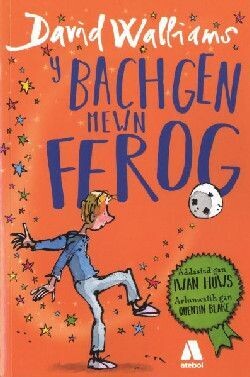 Y Bachgen Mewn Ffrog - David Walliams