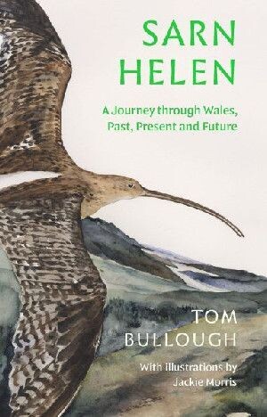 Sarn Helen - Tom Bullough