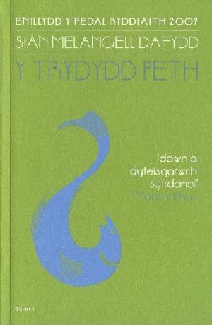 Y Trydydd Peth - Siân Melangell Dafydd