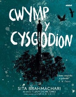 Cwymp y Cysgodion - Sita Brahmachari