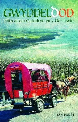 Gwyddeldod: Taith at ein Cefndryd yn y Gorllewin - Ian Parri
