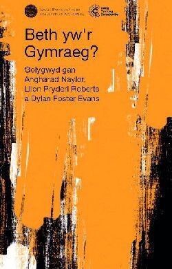 Beth yw'r Gymraeg? - Angharad Naylor, Llion Pryderi Roberts, a Dylan Foster Evans.
