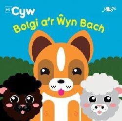 Cyfres Cyw: Bolgi a'r Ŵyn Bach- Anni Llŷn