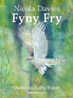 Fyny Fry - Nicola Davies