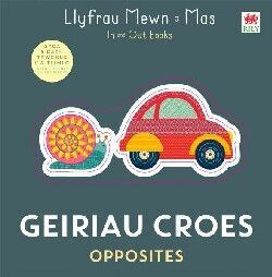 Geiriau Croes-Llyfrau Mewn a Mas