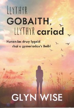 Llythyr Gobaith, Llythyr Cariad - Glyn Wise