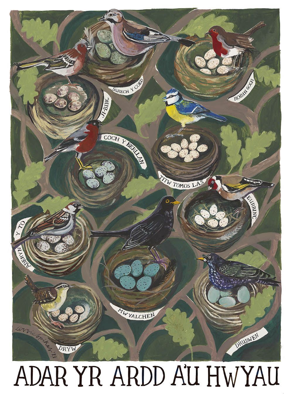 Poster - Adar yr Ardd a'u Hwyau