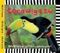 Coedwig Law-Cyfres Dwlu Dysgu