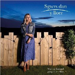 Sgwrs Dan y Lloer
