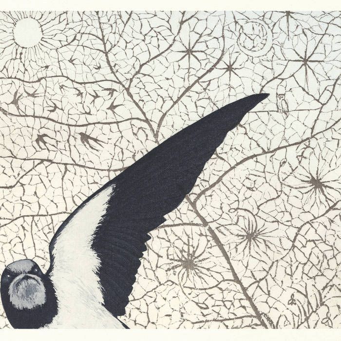 Aden - Gwilym Bowen Rhys