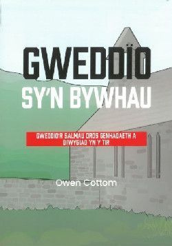 GWEDDIO SY'N BYWHAU - Owen Cottom