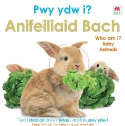 Pwy Ydw i? Anifeiliaid Bach