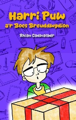 Harri Puw a''r Bocs Breuddwydion - Rhian Cadwaladr