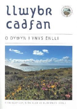 Llwybr Cadfan: O Dywyn i Ynys Enlli
