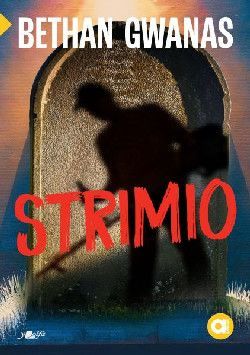 Cyfres Amdani (Lefel Mynediad): Strimio - Bethan Gwanas