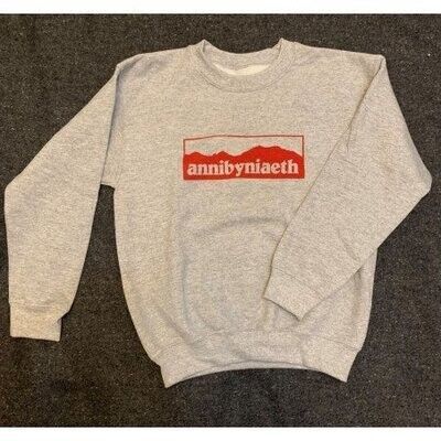 Siwmper Annibyniaeth Lwyd - XL Plant