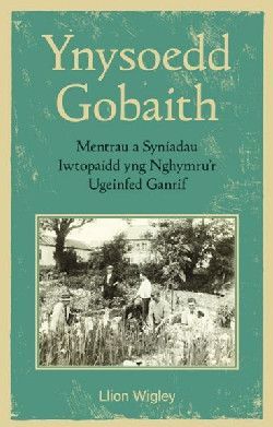 Ynysoedd Gobaith - Lllion Wigley Ynysoedd Gobaith - Lllion Wigley