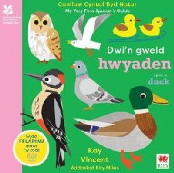 Dwi'n Gweld Hwyaden / I Spot a Duck Kay Vincent