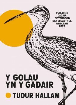 Y Golau yn y Gadair-Tudur Hallam