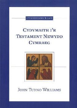 Cydymaith i'r Testament Newydd Cymraeg - John Tudno Williams