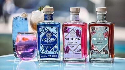 Gin
