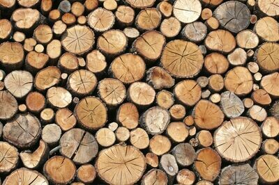 Premium Firewood