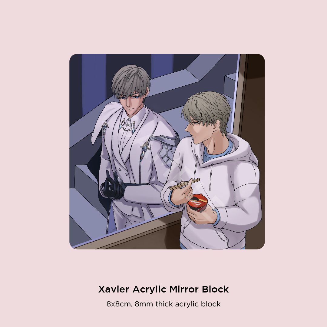 Xavier Mirror Block
