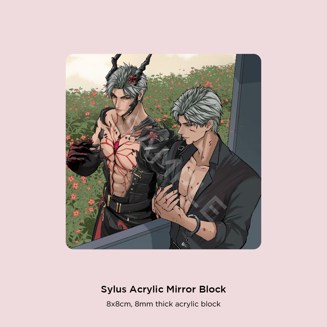Sylus Mirror Block
