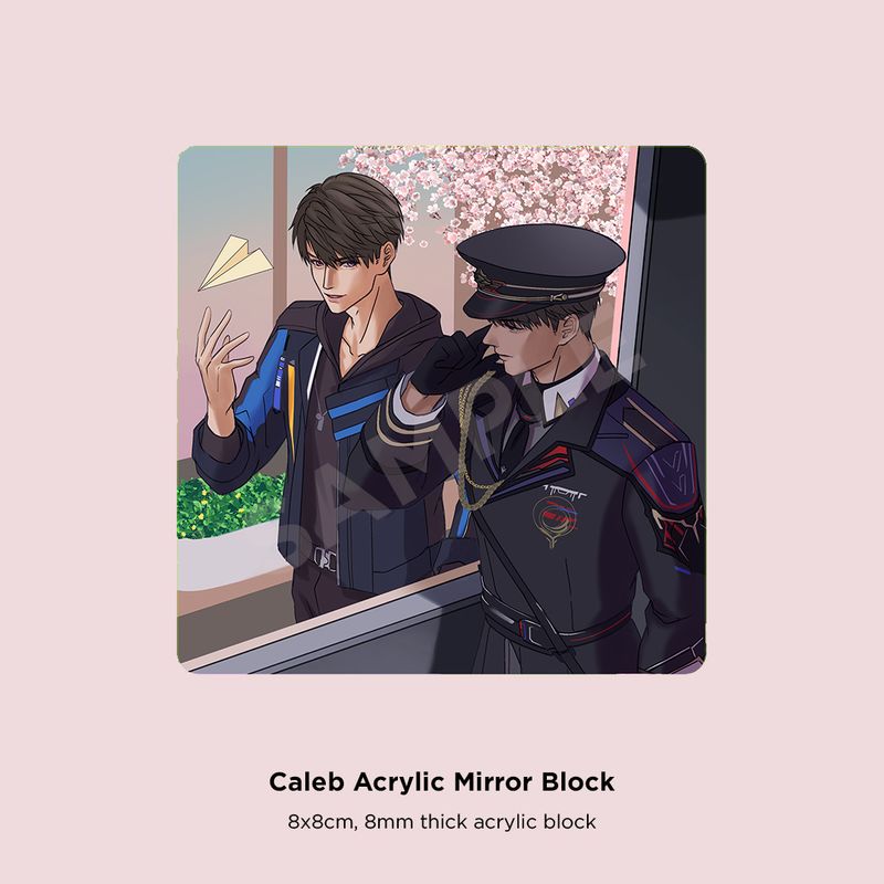 Caleb Mirror Block