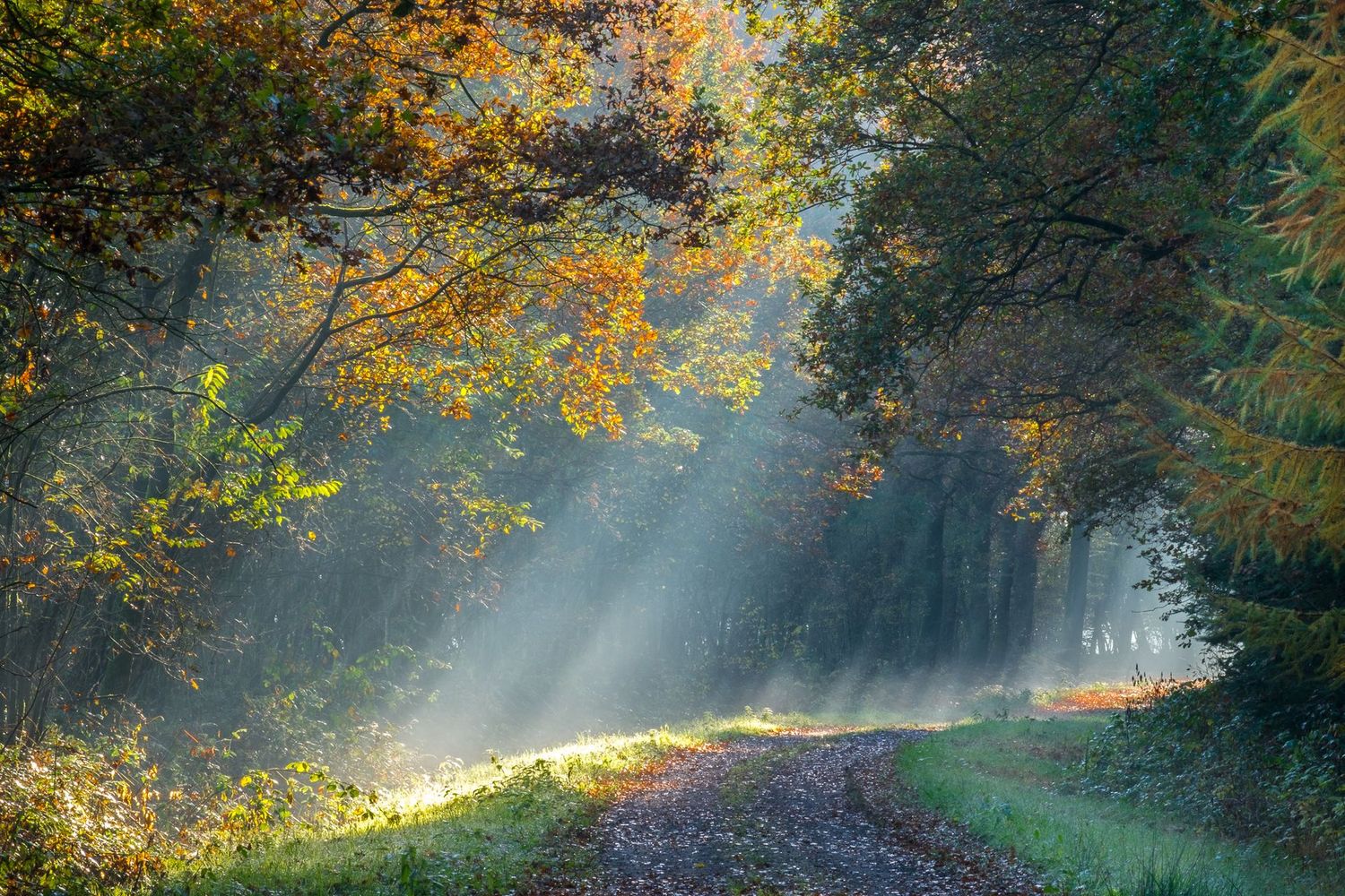Workshop Natuurfotografie 27 september 2025