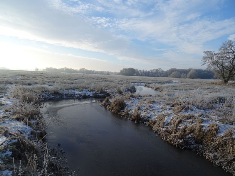Dag van het water 29 augustus