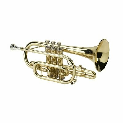 Bb Cornet in gold lacquered finish