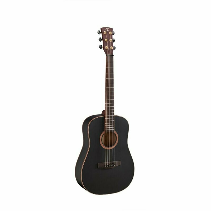 BA200-COMPACT
SHADOW series acoustic guitar (compact size)