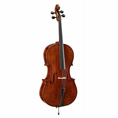 VPCE-SV44
All solid wood 4/4 cello with flamed maple back and side