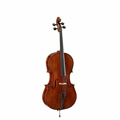 VPCE-SV12
All solid wood 1/2 cello with flamed maple back and side