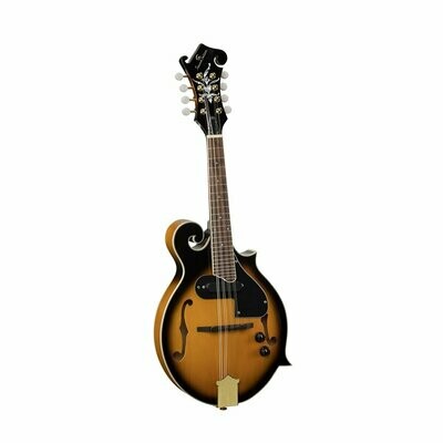BMA-100ES
Bluegrass mandolin plywood spruce top