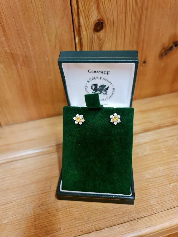 Daffodil studs