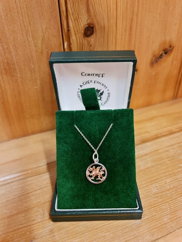 Two tone dragon roundel necklace