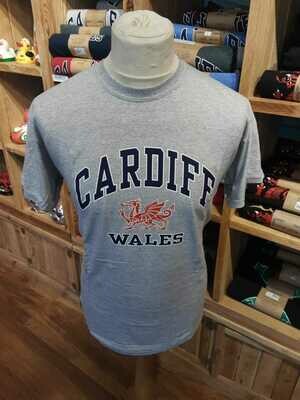 Cardiff Harvard T-Shirt Sports Grey