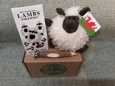 Fluffy sheep giftbox bundle
