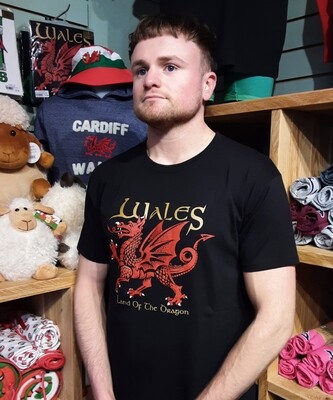 Wales land of the dragon t.shirt