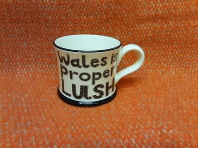 Wales is proper lush pottery mug