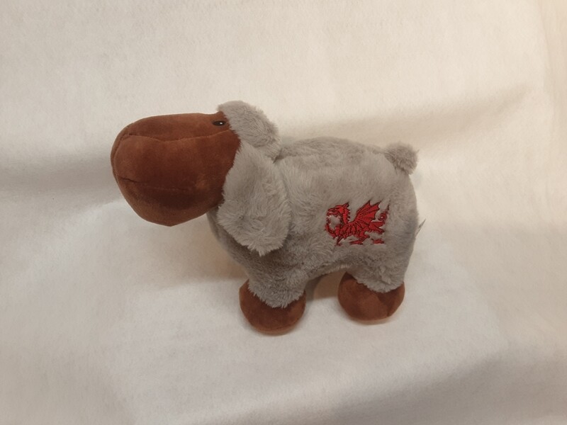 Large grey sheep
